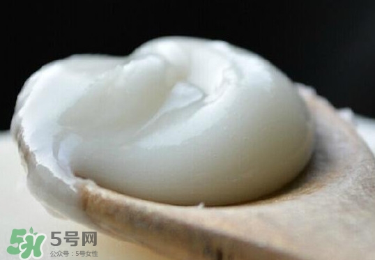 椴樹蜜可以泡檸檬嗎？椴樹蜜放冰箱冷藏好還是冷凍好
