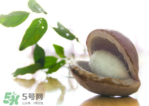 八月瓜的皮可以吃嗎？八月瓜的皮有什么功效