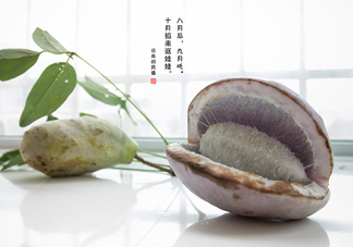 八月瓜可以泡酒嗎？八月瓜可以治乙肝嗎