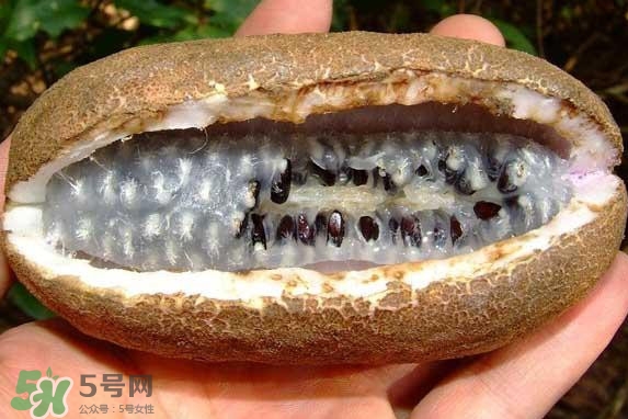八月瓜能吃嗎？八月瓜到底有什么價(jià)值？