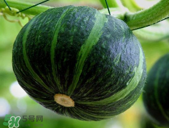 貝貝南瓜蒸多久能吃？貝貝南瓜和普通南瓜有什么區(qū)別