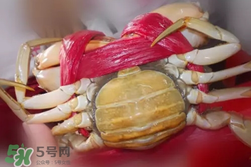 黃油蟹是海蟹嗎？黃油蟹是如何進(jìn)化的