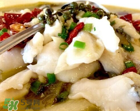 鰱魚可以做酸菜魚嗎？鰱魚怎么做酸菜魚？