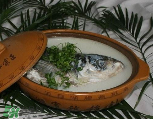 鰱魚(yú)頭湯孕婦可以吃嗎？鰱魚(yú)頭湯的功效與作用