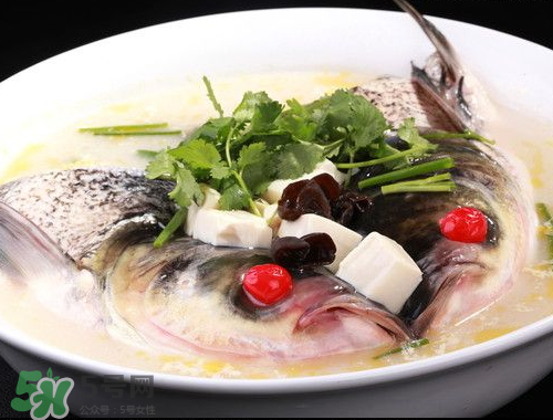 鰱魚(yú)頭湯孕婦可以吃嗎？鰱魚(yú)頭湯的功效與作用