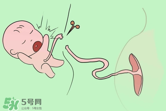 寶寶臍帶什么時(shí)候脫落？寶寶臍帶脫落后怎么護(hù)理？