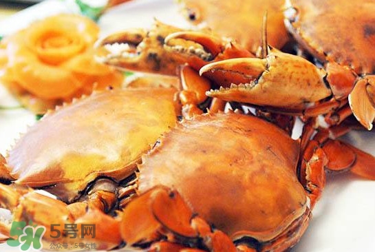 黃油蟹是什么蟹？黃油蟹多少錢一只