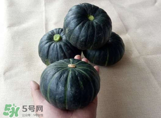 貝貝南瓜是哪里的？貝貝南瓜哪里產(chǎn)的