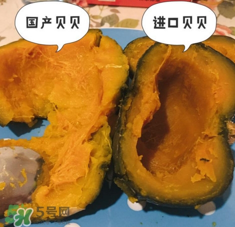 貝貝南瓜怎么挑選？貝貝南瓜有假的嗎