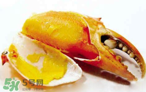 黃油蟹怎么保存？黃油蟹的營養(yǎng)價值