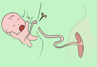 寶寶臍帶什么時候脫落？寶寶臍帶脫落后怎么護(hù)理？