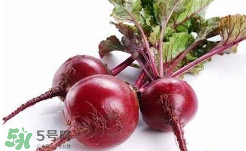 甜菜根是蘿卜嗎？甜菜根是什么菜