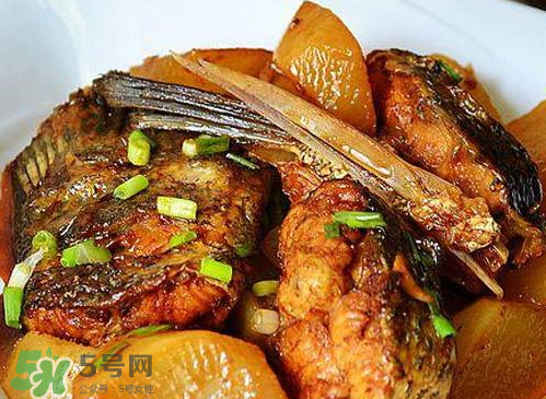 鱸魚可以紅燒嗎？鱸魚清蒸還是紅燒好吃？
