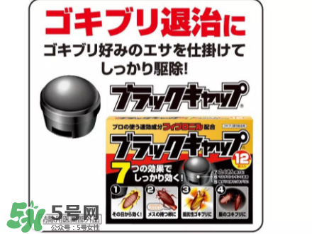 日本蟑螂藥好用嗎？日本蟑螂藥效果評測