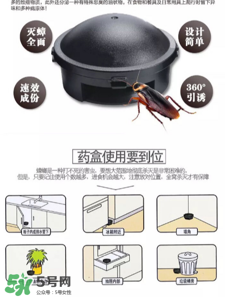 日本蟑螂藥好用嗎？日本蟑螂藥效果評測