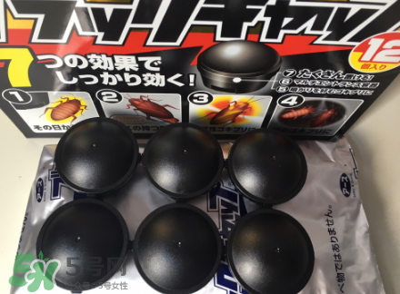日本蟑螂藥哪里買得到？