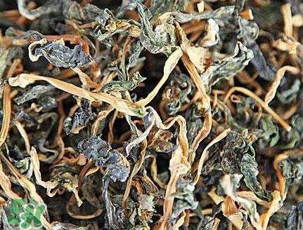 梅干菜是哪里的特產(chǎn)？梅干菜是發(fā)物嗎