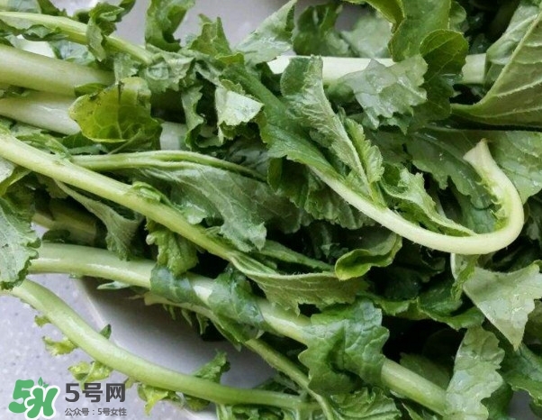 蘿卜纓能吃嗎？蘿卜纓怎么做好吃