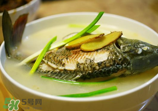 鯉魚湯怎么做好吃？鯉魚湯里面可以放什么？