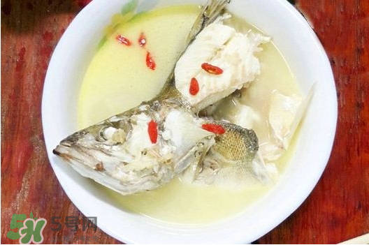 鯉魚湯怎么做好吃？鯉魚湯里面可以放什么？