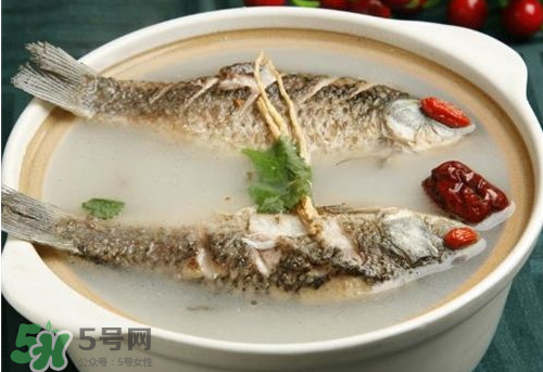 鯽魚湯下奶嗎？鯽魚湯的功效與作用