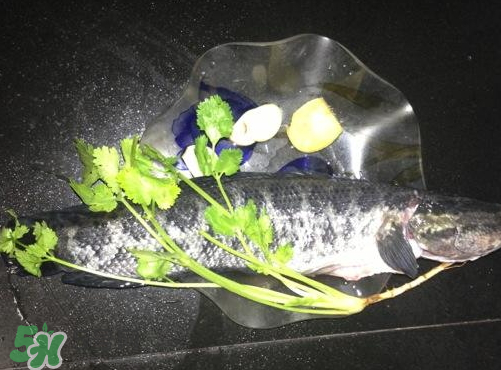 黑魚湯對傷口有好處嗎？黑魚湯的做法術(shù)后恢復(fù)