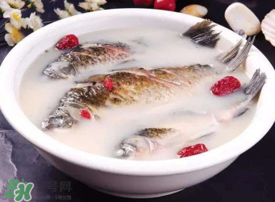鯽魚湯里可以放什么菜最好？鯽魚燉湯放什么菜？