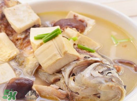 鯽魚(yú)湯可以放香菇嗎？香菇鯽魚(yú)湯的做法