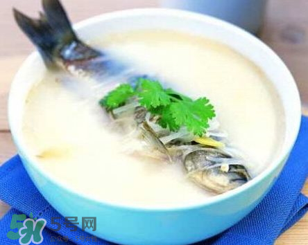 鯽魚湯可以放牛奶嗎？牛奶鯽魚湯的做法