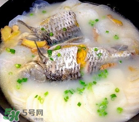 鯽魚湯可以放牛奶嗎？牛奶鯽魚湯的做法
