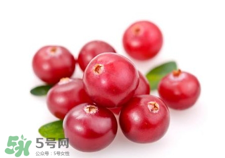 蔓越莓在中國有嗎？蔓越莓怎么辨別真假