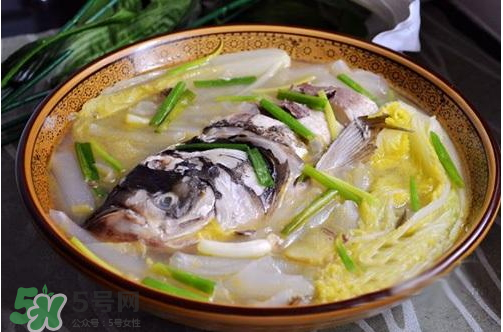鰱魚湯怎么熬湯？鰱魚湯的功效與作用