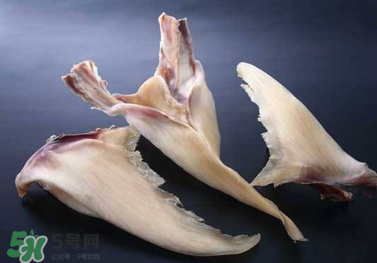 干魚翅怎么保存？魚翅可以放多久？