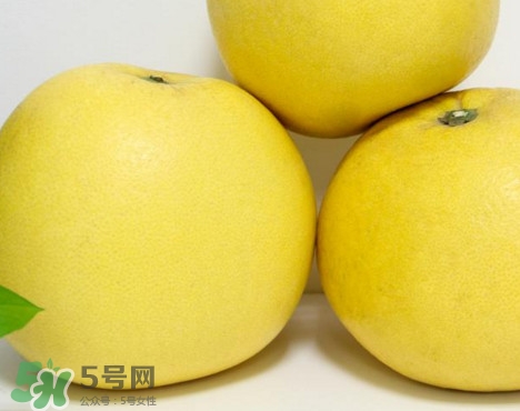 蜜柚是哪個(gè)季節(jié)的水果？蜜柚和沙田柚的區(qū)別是什么？
