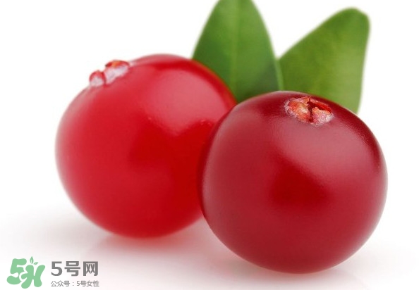 蔓越莓是藍(lán)莓嗎？蔓越莓是哪里產(chǎn)的