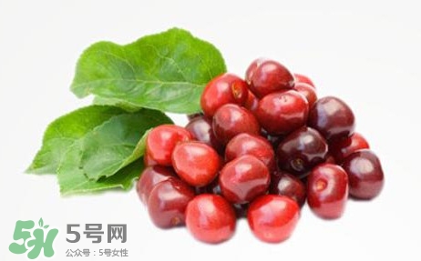 蔓越莓有什么作用？蔓越莓的功效與作用