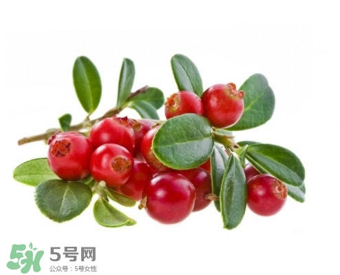蔓越莓在中國有嗎？蔓越莓怎么辨別真假
