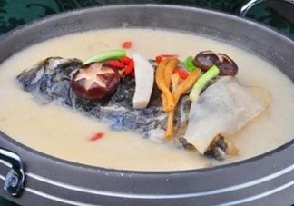 鰱魚(yú)湯怎么熬湯？鰱魚(yú)湯的功效與作用