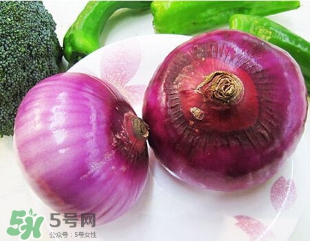 洋蔥狗狗能吃嗎？狗狗吃了洋蔥怎么辦？