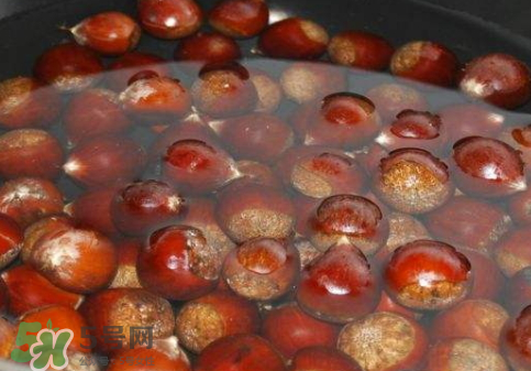 板栗用冷水還是熱水煮？煮板栗用冷水還是熱水？
