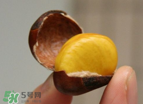 板栗用冷水還是熱水煮？煮板栗用冷水還是熱水？
