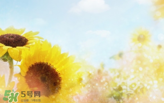 見封滾是什么意思？