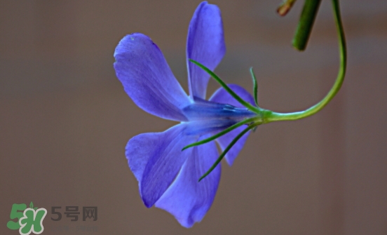 見封滾是什么意思？