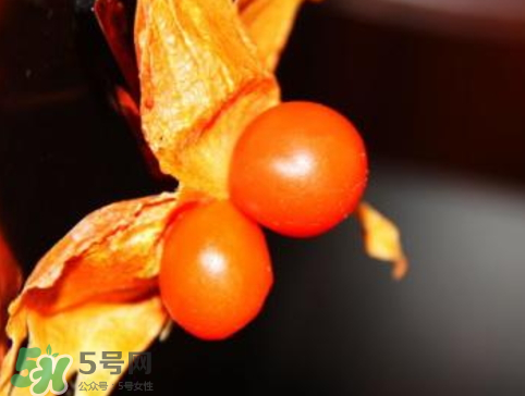 紅姑娘皮泡水治咽炎嗎？紅姑娘皮泡水的副作用