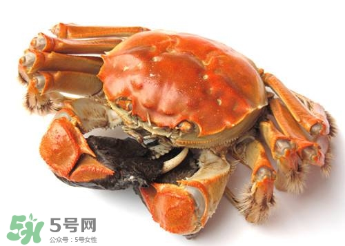 螃蟹里面有寄生蟲嗎？螃蟹有寄生蟲還可以吃嗎？