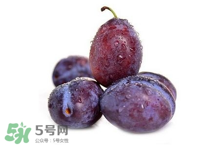 西梅可以放冰箱嗎？西梅放冰箱冷藏還是冷凍？