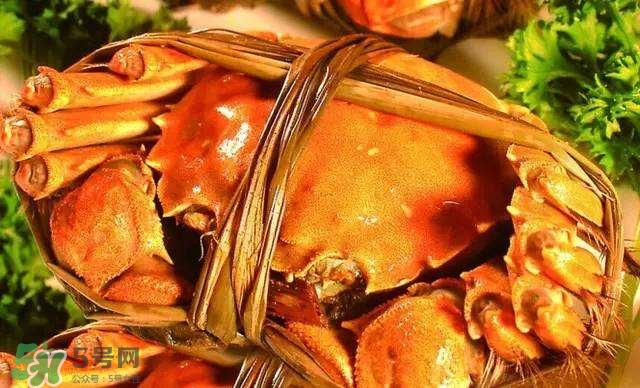 螃蟹吃什么食物長得大？十月份吃什么螃蟹？