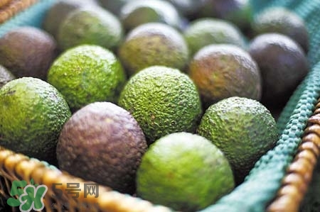 牛油果吃了對子宮好嗎？牛油果對子宮的好處