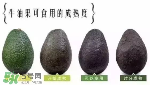 牛油果是什么味道？牛油果是甜的嗎？