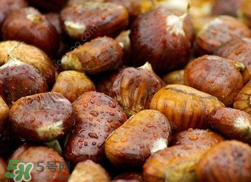 板栗泡酒真的能壯陽(yáng)嗎？板栗泡酒有什么功效？